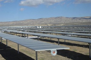 Solar panels at California solar ranch. Photo by Pacific Southwest Region from Sacramento, US (Solar Panels at California Valley Solar Ranch 1) [CC BY 2.0], via Wikimedia Commons