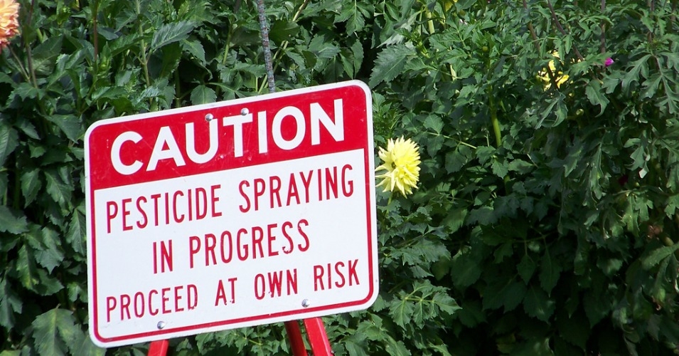 A USDA researcher says he was censored and punished for reporting on the harmful effects of pesticides like clothianidin. (Photo: jetsandzeppelins/flickr/cc)
