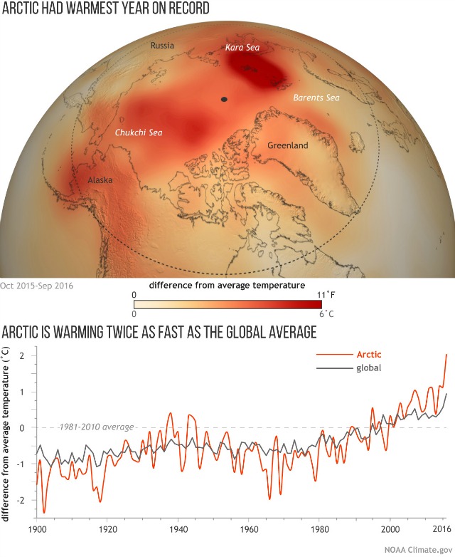 (map) Temperatures across the Arctic from October 2015-September 2016 compared to the 1981-2010 average. (graph) Yearly temperatures since 1900 compared to the 1981-2010 average for the Arctic (orange line) and the globe (gray). NOAA Climate.gov map based on NCEP reanalysis data from NOAA's Earth System Research Lab. Graph adapted from Figure 1.1 in the 2016 Arctic Report Card.
